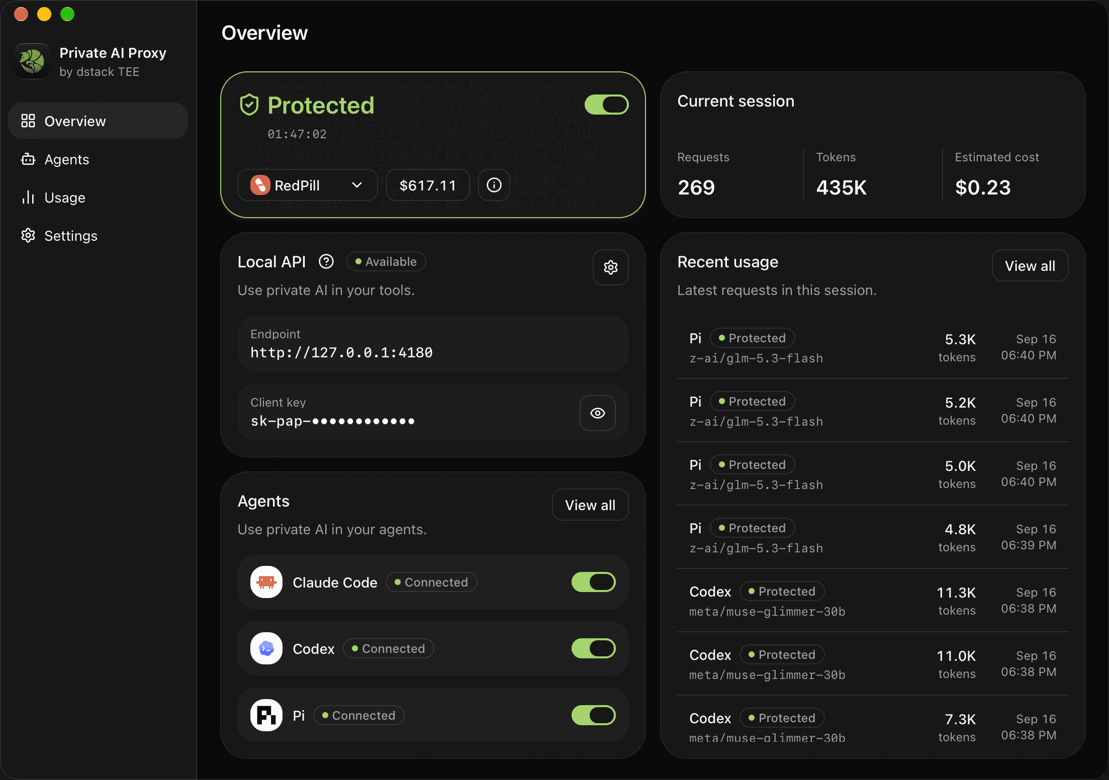Private AI Proxy desktop application overview